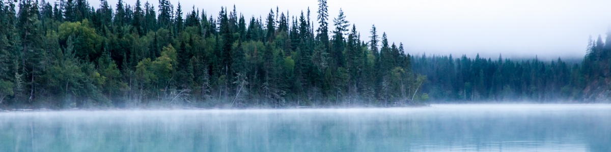banner záhlaví