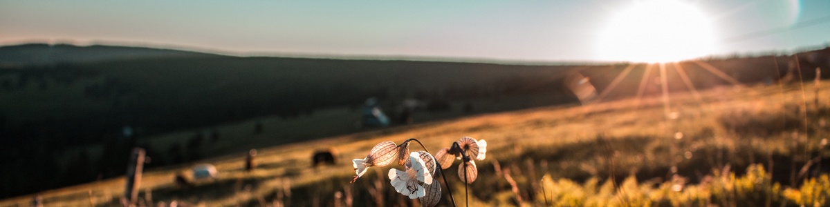 banner záhlaví