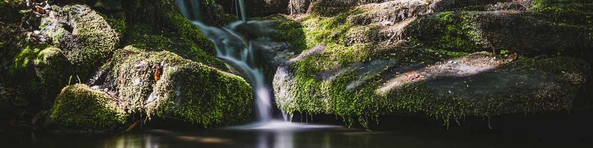 banner záhlaví