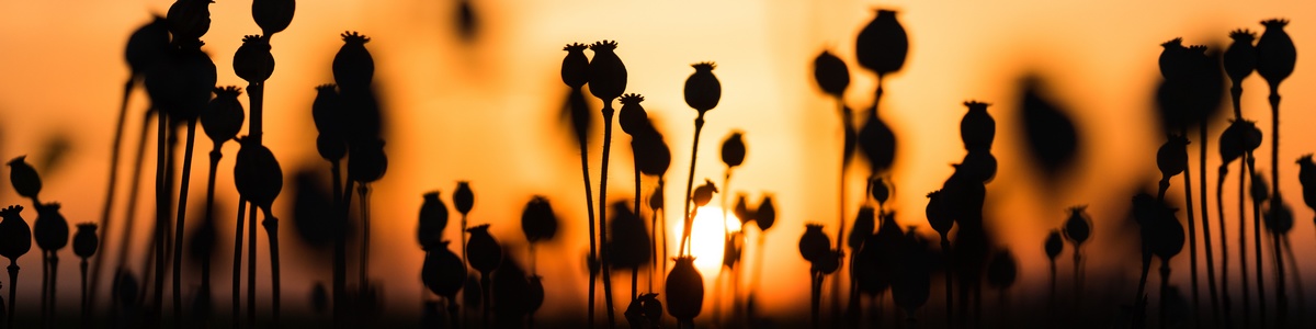 banner záhlaví