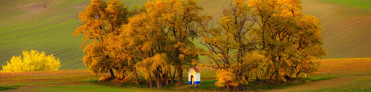 banner záhlaví